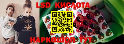 apvp Краснодар